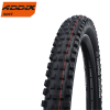 Nueva Schwalbe Big Betty 2020!! 2 Nueva Schwalbe Big Betty 2020!! -Bicicletas Tienda SCHWALBE Magic Mary ADDIX Soft